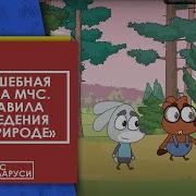 Правила Безопасности На Природе