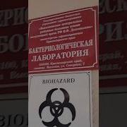 Привет Мои Дорогие Друзья