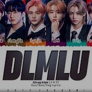 Stray Kids Dlmlu