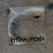 Capybara Phonk Remix