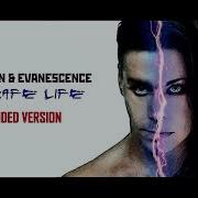01 Rammstein Evanescence Bestrafe Life Mashup Music