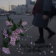 Глухой Музыкант Слепой Художник Алена Шаец Speed Up
