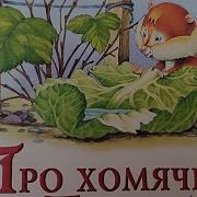 Сказка Про Хомячка