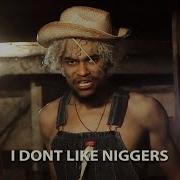 I Dont Like Niggers