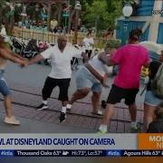 Disney Fight