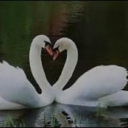 Солтан Байкулов Новинки