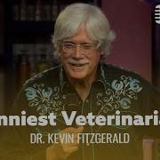 Vet