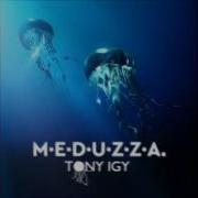 Tony Igy Meduza