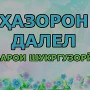 Хазорон Хазор Далел Барои Шукргузори Кардан Дар Зиндаги