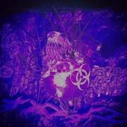 D3R Toxic Slowed