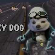 Crazy Dog Song