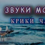 Морские Волны И Чайки