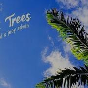 Palm Trees By Joakim Karud Joey Edwin Official