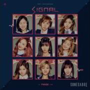 Official Instrumental Twice Signal