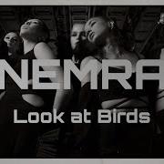 Nemra Look At Birds