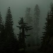 Cryptid Playlist