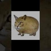 Смешна Ту Ту Ту