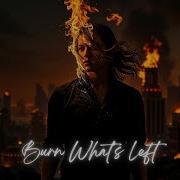 Ash Echoes Burn What S Left