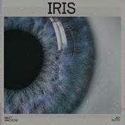 Jay Putty Iris