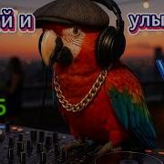 Песни С Душой И Юмором Vol 2 Танцевальные Песни В Стиле Шансон 2025
