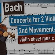 Alexander Concerto For 2 Violins In D Minor Bwv 1043 Ii Largo Ma Non Tanto