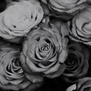 90 S Rap Beats White Roses
