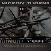 Thorns Sound
