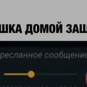 Барашка Домой Зашла