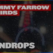 88Birds Raindrops
