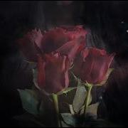 Sandra Shadows Ng Remix