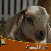 Farm Theme