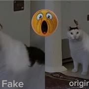 Huuh