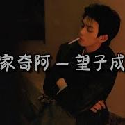 刘家奇