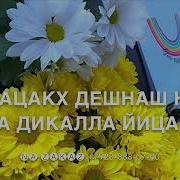 Поздравления На Чеченском С Озвучкой