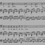 Nocturne 1884