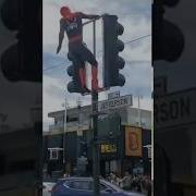 Человек Паук Танцует На Светофоре Spider Man Dancing On Traffic Light