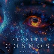 Secret Cosmos
