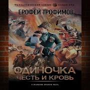 Ерофей Трофимов Одиночка Книга 5