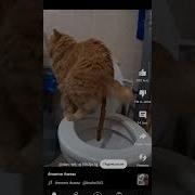 Какие Нахуй