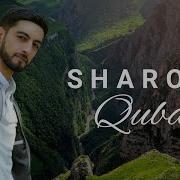 Gitarist Sharon Quba