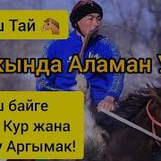 Баш Байге Алтын Кур Аламан Улак