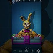 Pit Bonnie