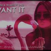 Tommy Vee I Want It Feat D Lo