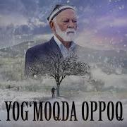 Ёгар Оппок Кор