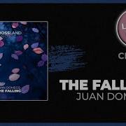 Juan Domecq The Falling