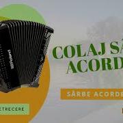 Colaj Sarbe La Acardeon