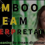 Bamboo Dreams