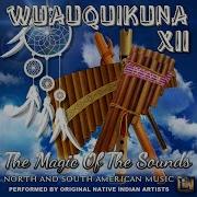 Wuauquikuna Bom Bom