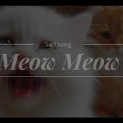 Meow Meow Meow Meow Tik Tok