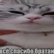 Обнял Поднял Рахмет